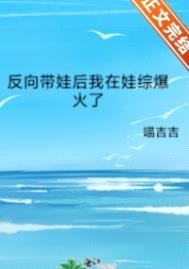 反向带娃后我在娃综爆火了封面